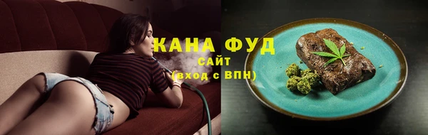 ешки Гусь-Хрустальный