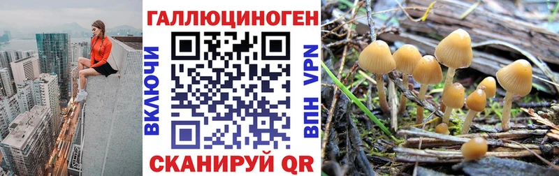 Галлюциногенные грибы MAGIC MUSHROOMS  Омутнинск 