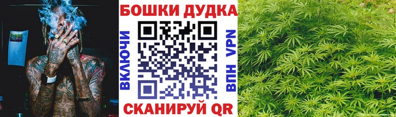 Каннабис план  купить наркотик  kraken tor  Омутнинск 